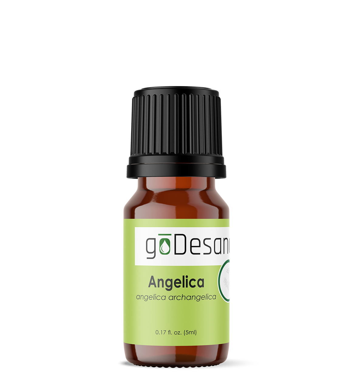 Angelica Essential Oil