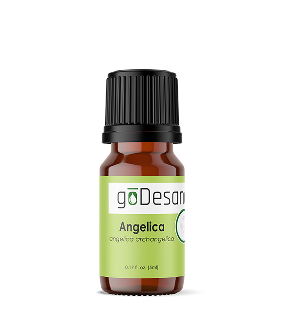 Angelica