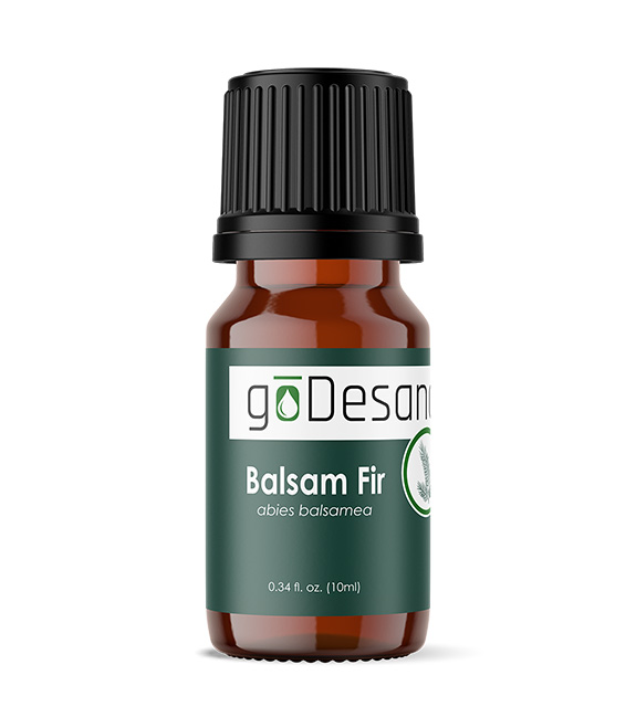 Balsam Fir
