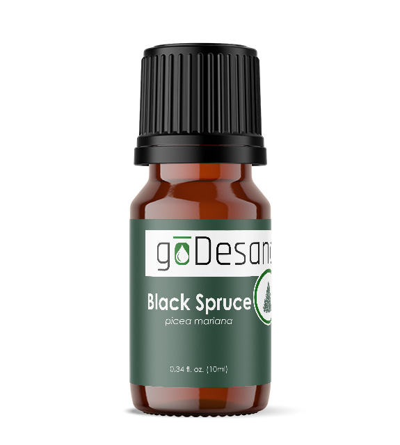 Black Spruce