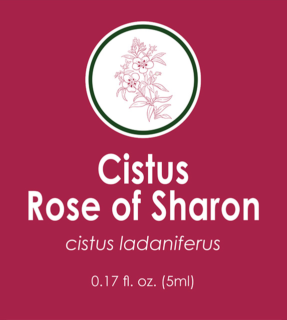 Cistus Front Label