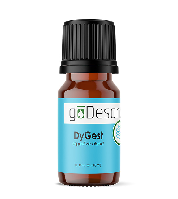 DyGest