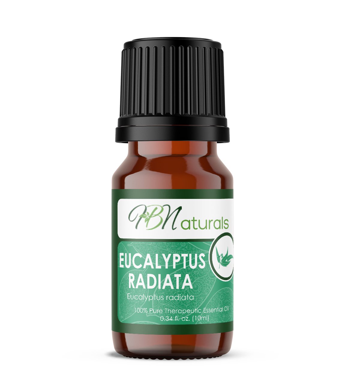 Eucalyptus Radiata Essential Oil