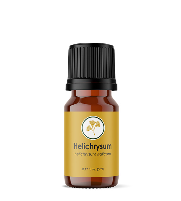 Helichrysum