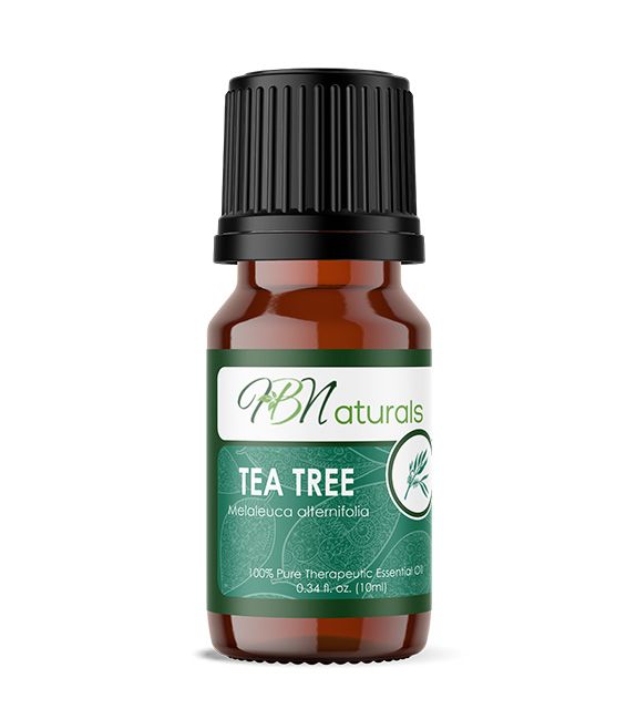 Tea Tree